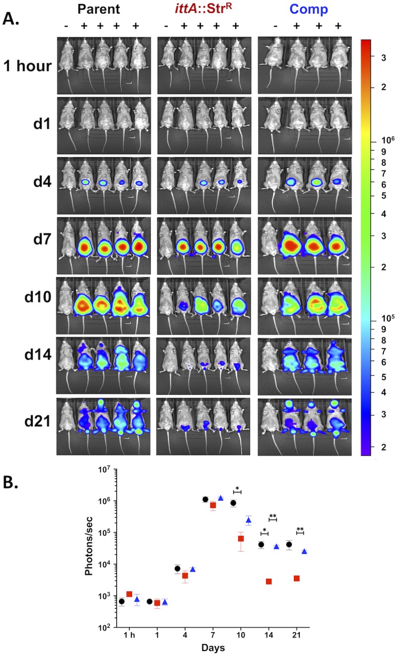 Fig 4