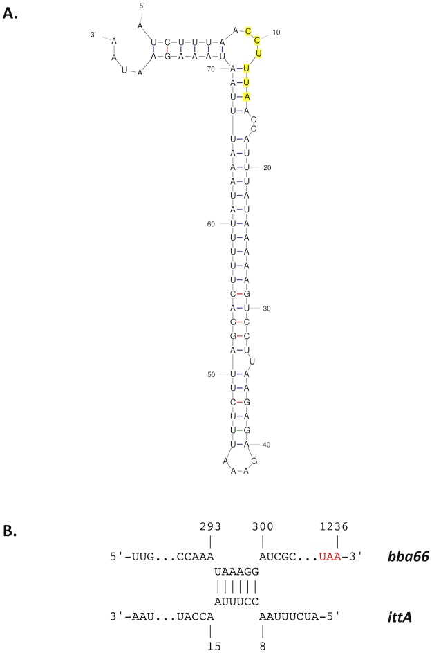 Fig 10