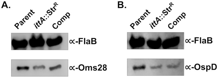 Fig 9