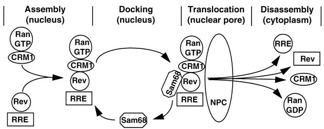 FIG. 7.