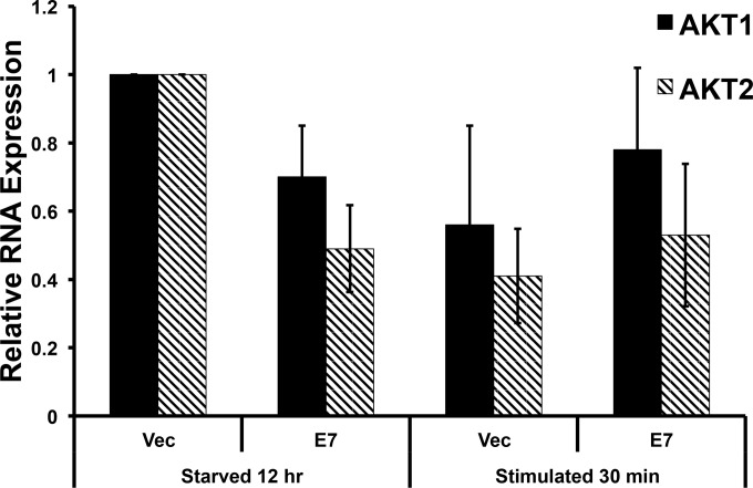 FIG 10