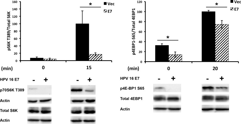 FIG 6