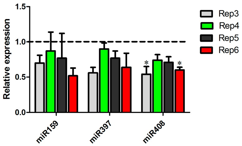 Figure 6