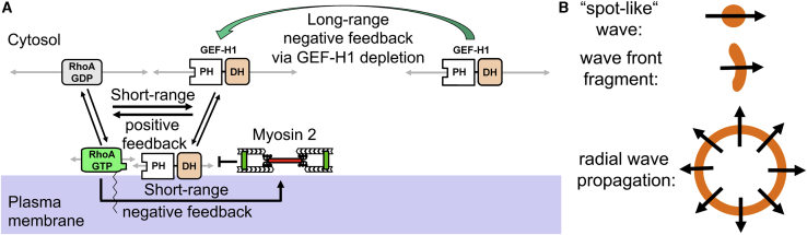 Figure 6