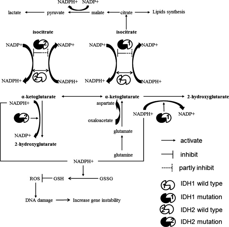 Fig. 4.