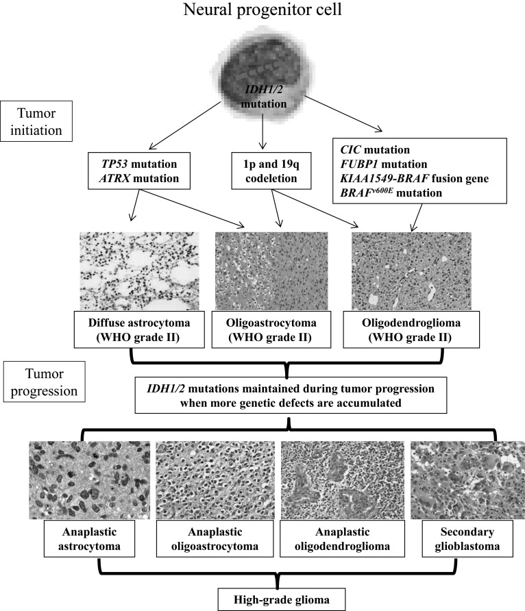 Fig. 2.