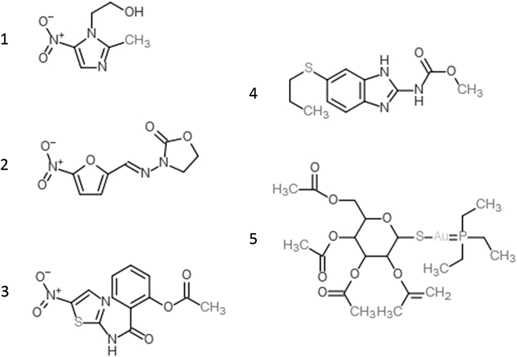 Fig. 1