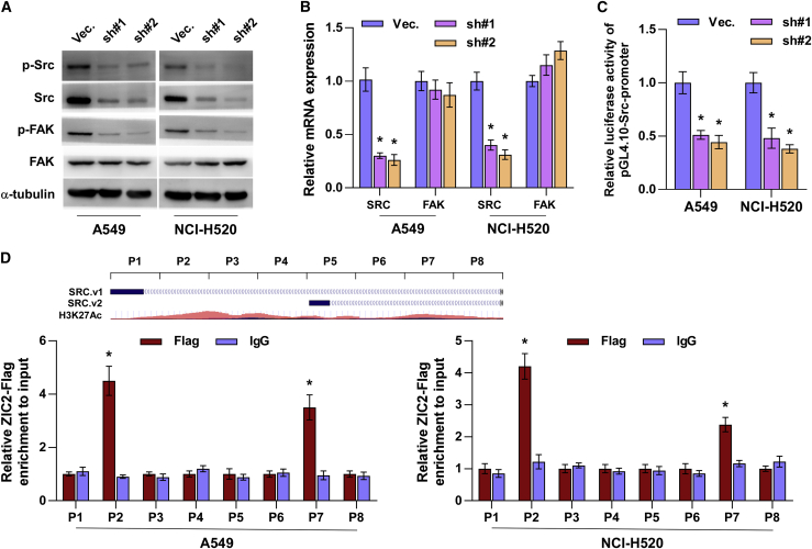 Figure 6