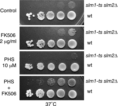 FIG. 6.