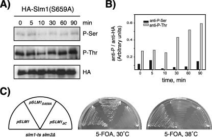 FIG. 8.