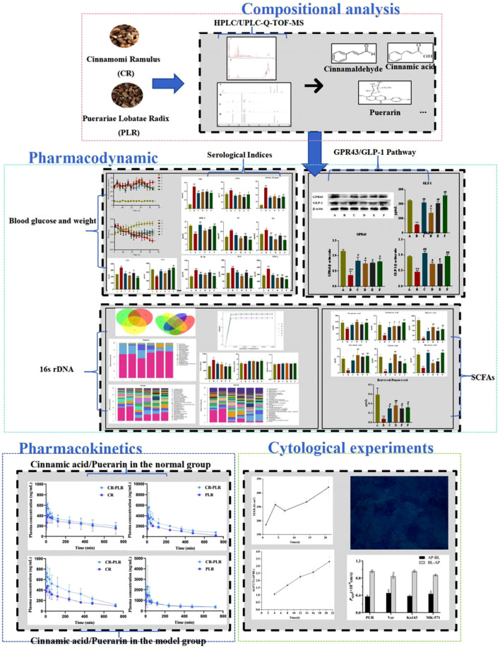 graphic file with name FPHAR_fphar-2025-1560271_wc_abs.jpg