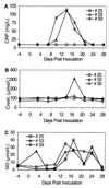 FIG. 2.
