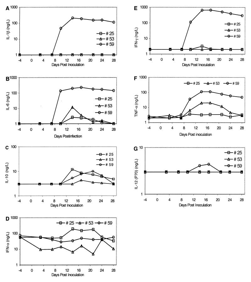 FIG. 4.