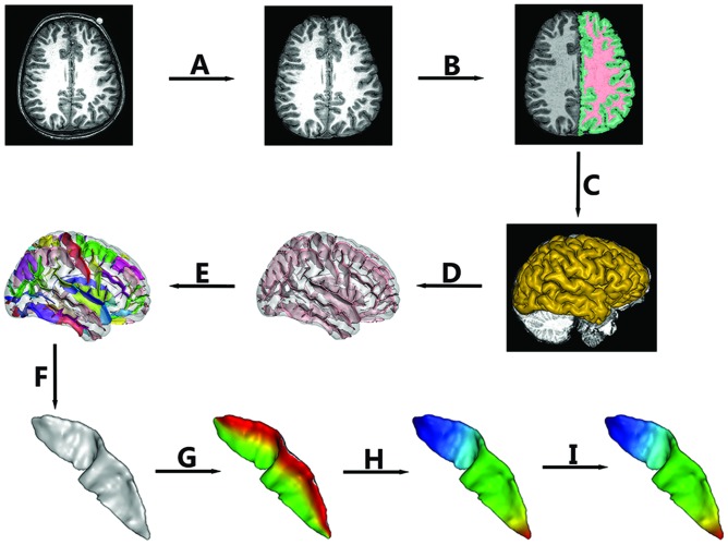 FIGURE 1