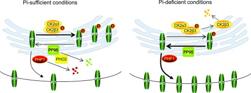 Figure 11.