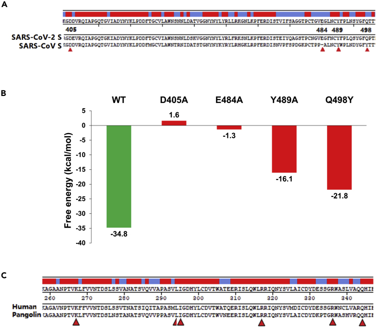 Figure 3