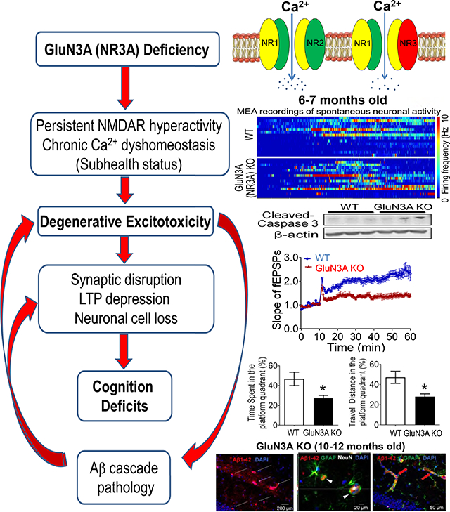 graphic file with name nihms-1719761-f0001.jpg