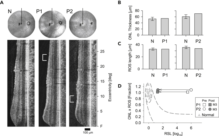 Figure 3