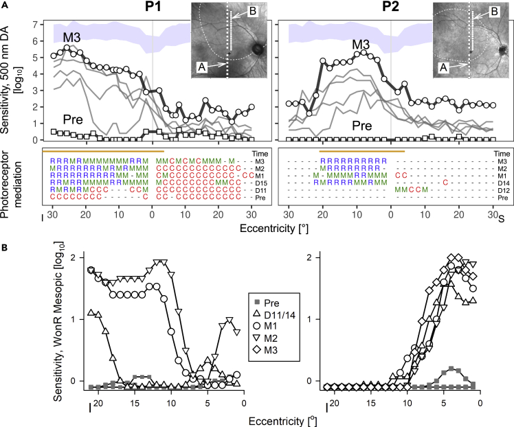 Figure 2