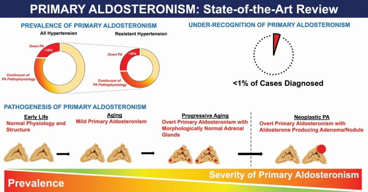 Graphical Abstract