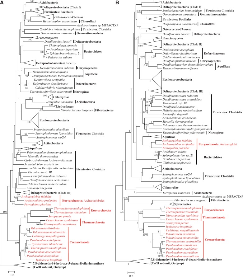 Fig. 7.—