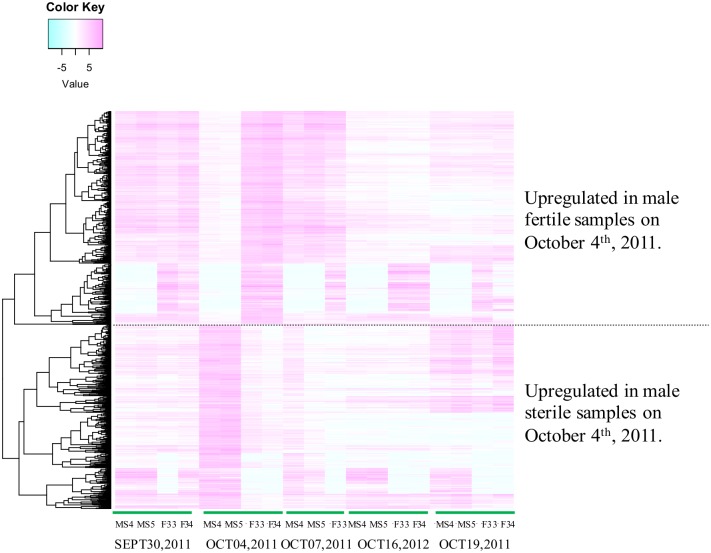 Fig 4