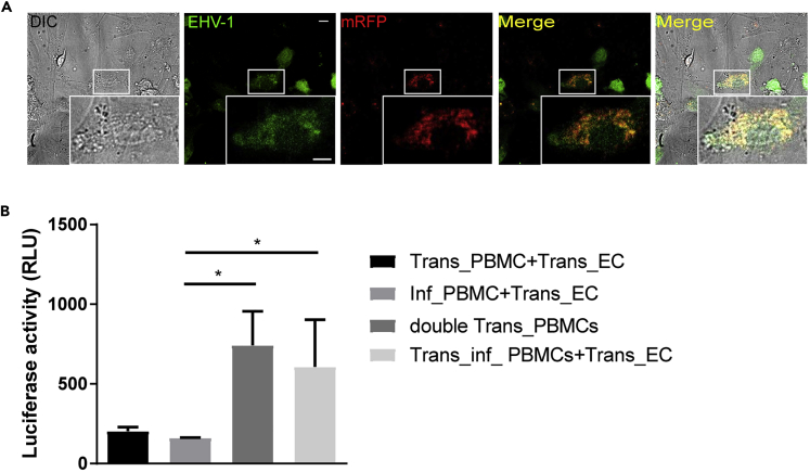 Figure 6