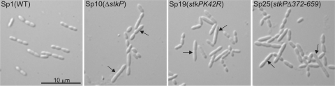 FIG. 5.