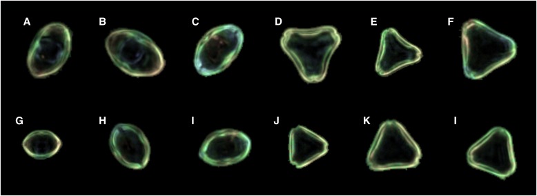 Fig. 1.