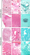 FIG 6