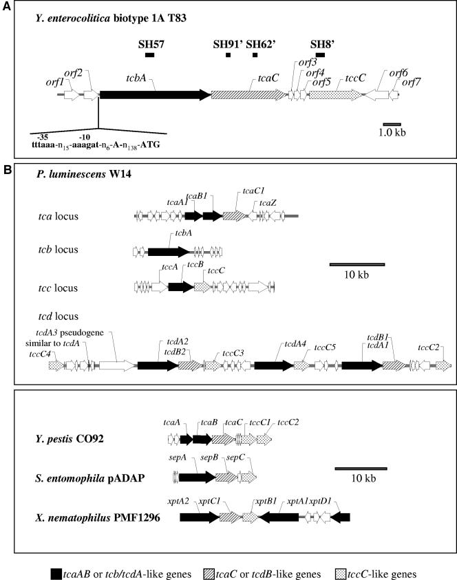 FIG. 1.