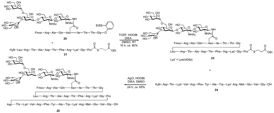 Scheme 5