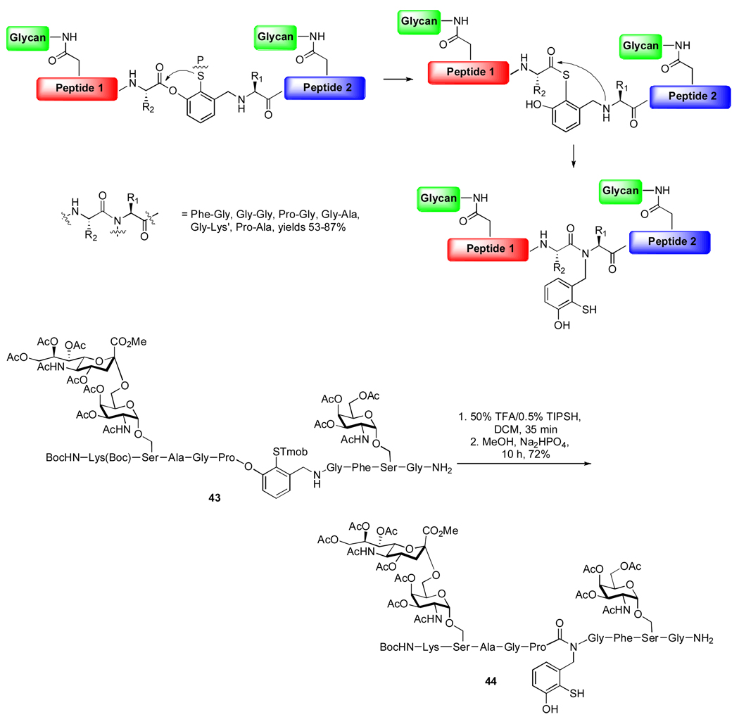 Scheme 9