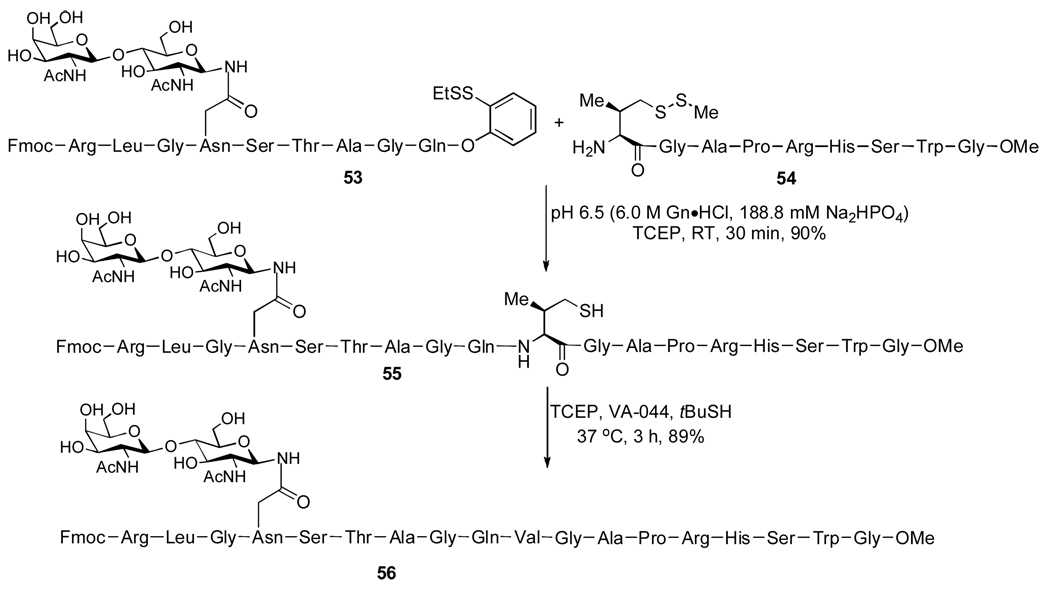 Scheme 13