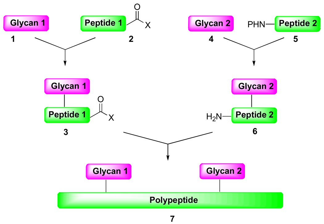 Scheme 1