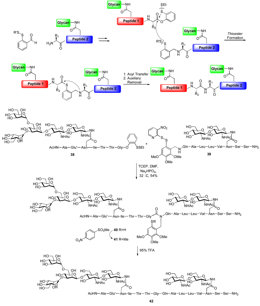 Scheme 8