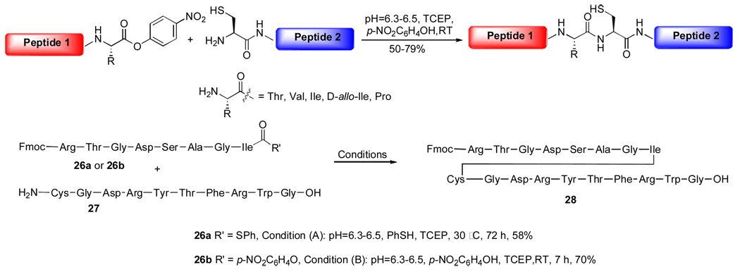 Scheme 6