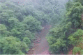 graphic file with name 13280_2020_1445_Figa_HTML.gif