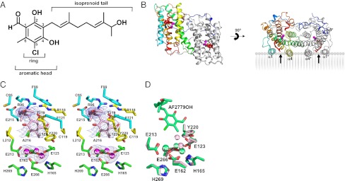 Fig. 3.