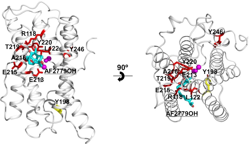 Fig. 4.