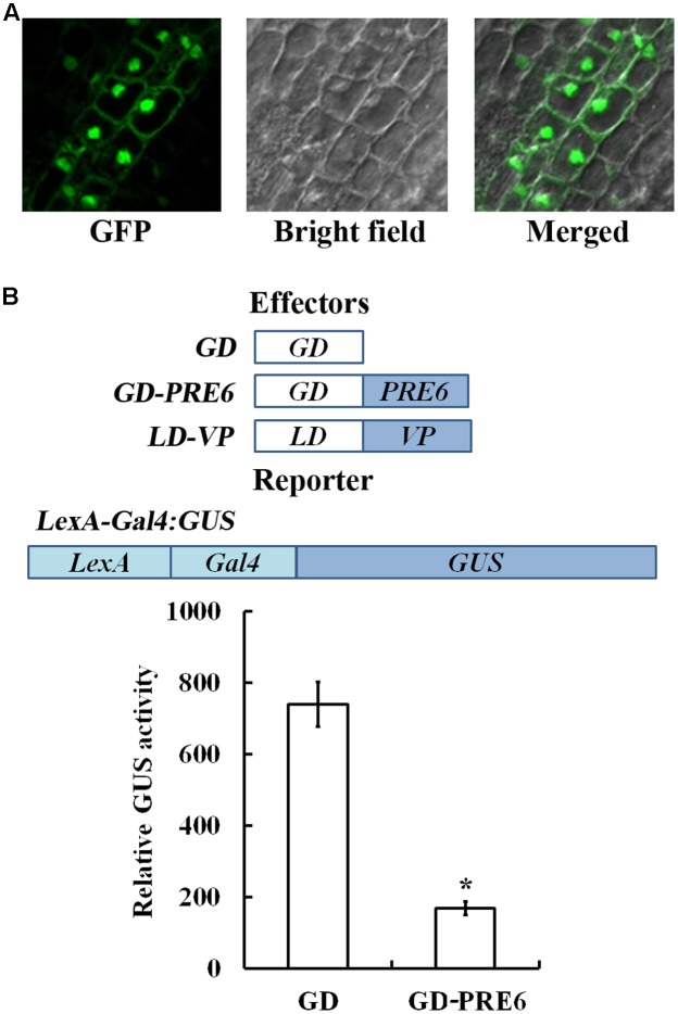 FIGURE 4