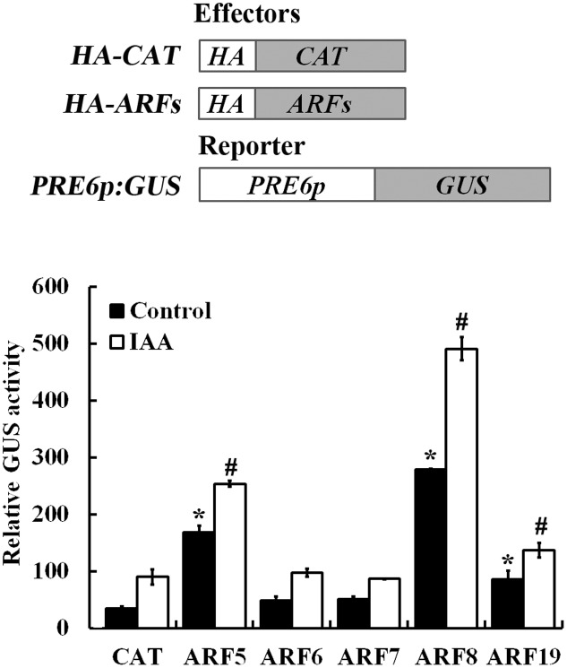 FIGURE 6