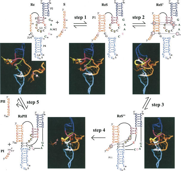 FIGURE 7.