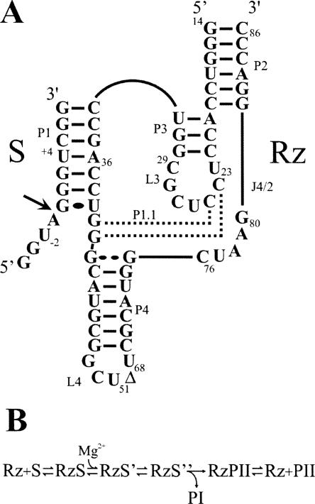 FIGURE 1.