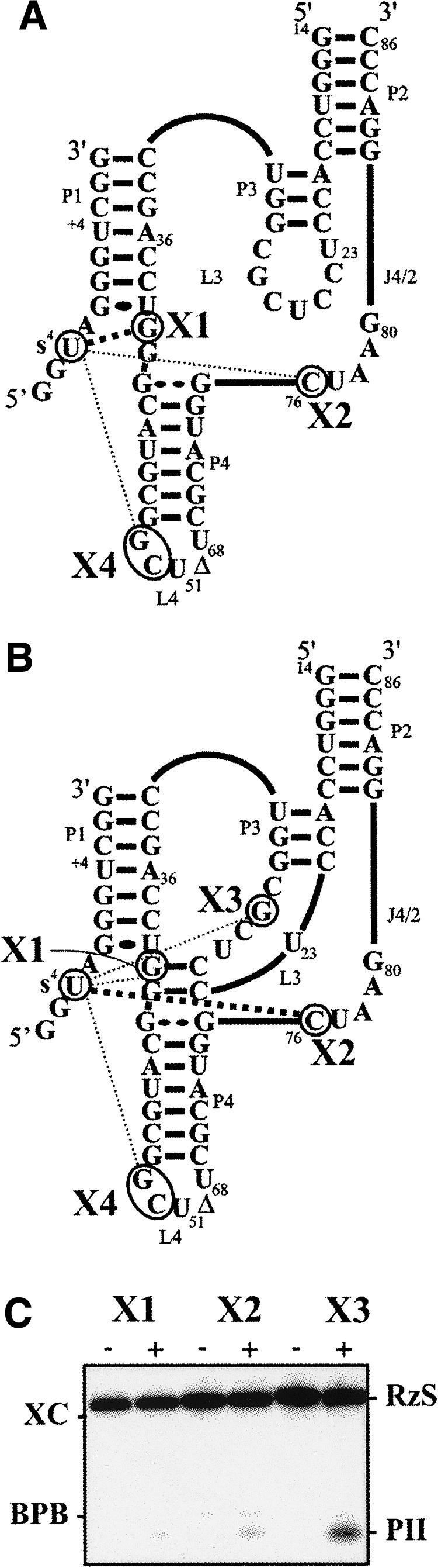 FIGURE 4.