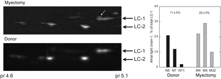 Figure 5