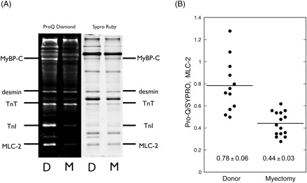 Figure 6