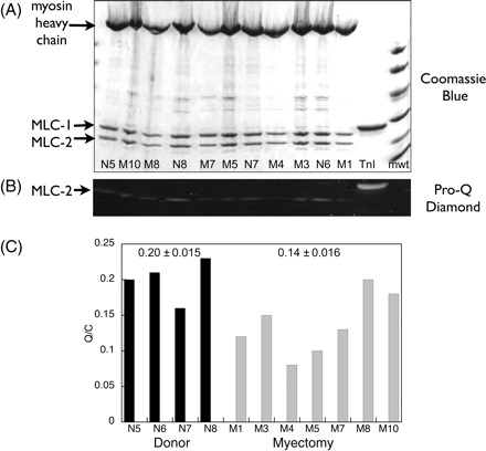 Figure 7