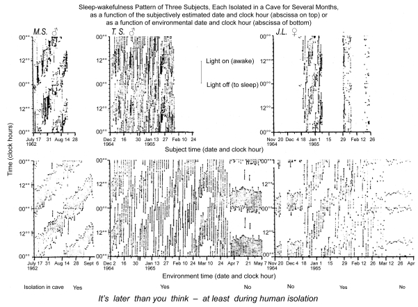 Figure 2A