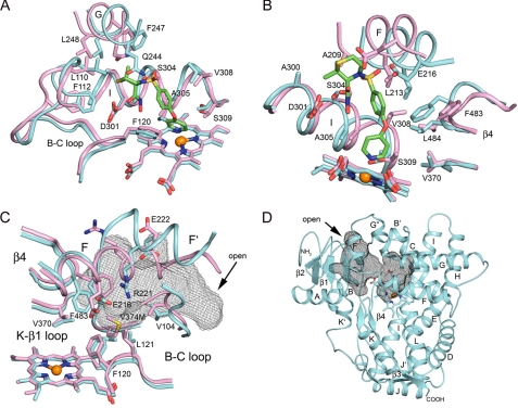 FIGURE 4.